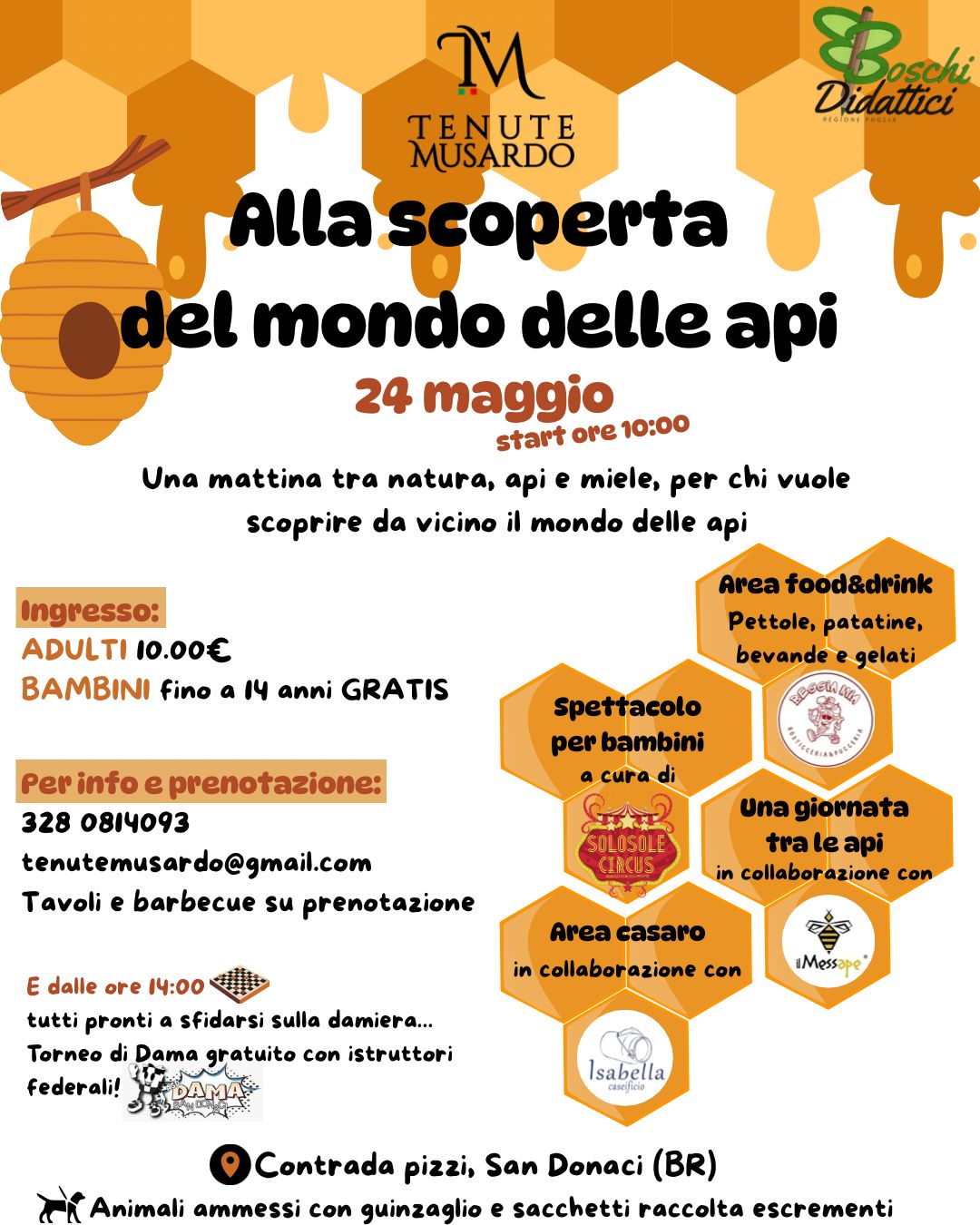 ALLA SCOPERTA DEL MONDO DELLE API